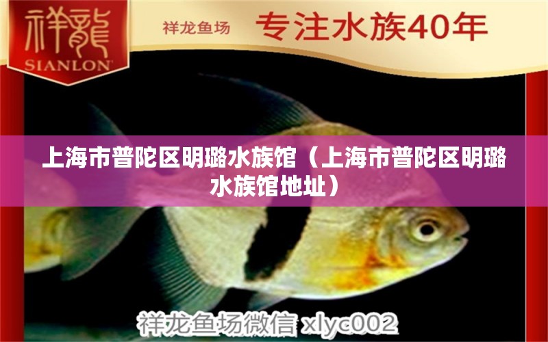 上海市普陀區(qū)明璐水族館（上海市普陀區(qū)明璐水族館地址）