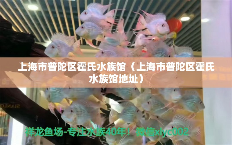 上海市普陀區(qū)霍氏水族館（上海市普陀區(qū)霍氏水族館地址） 全國水族館企業(yè)名錄