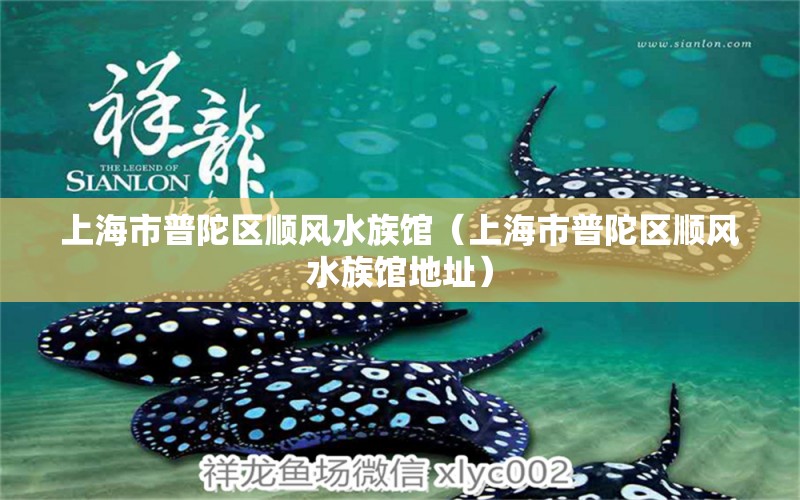 上海市普陀區(qū)順風(fēng)水族館（上海市普陀區(qū)順風(fēng)水族館地址）