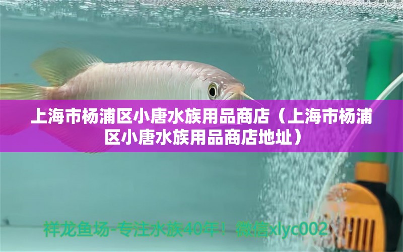 上海市楊浦區(qū)小唐水族用品商店（上海市楊浦區(qū)小唐水族用品商店地址）