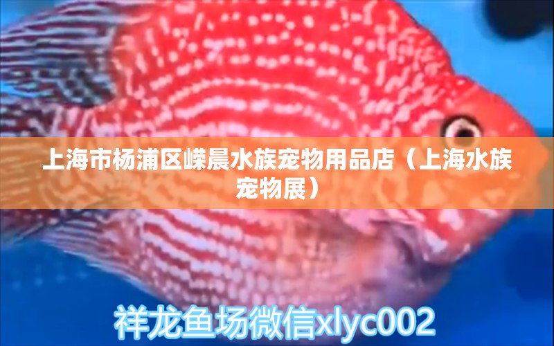 上海市楊浦區(qū)嶸晨水族寵物用品店（上海水族寵物展）