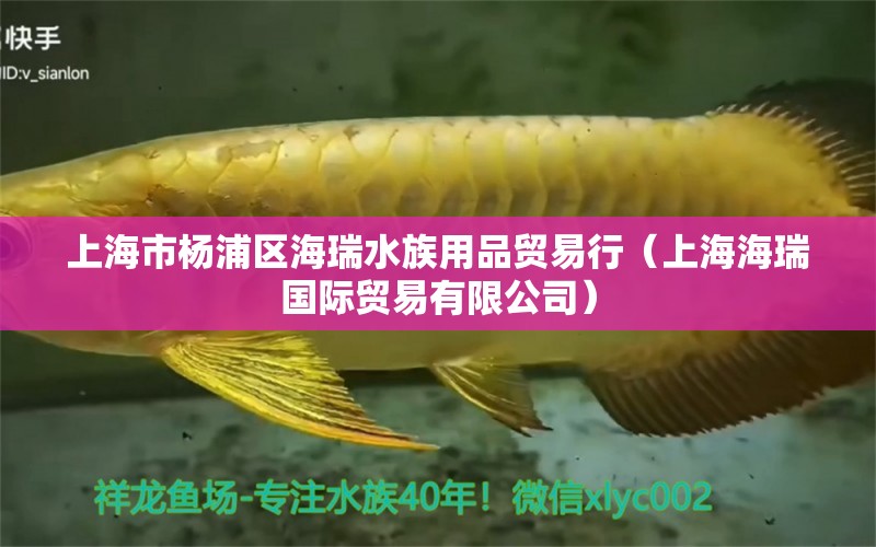 上海市楊浦區(qū)海瑞水族用品貿(mào)易行（上海海瑞國際貿(mào)易有限公司）