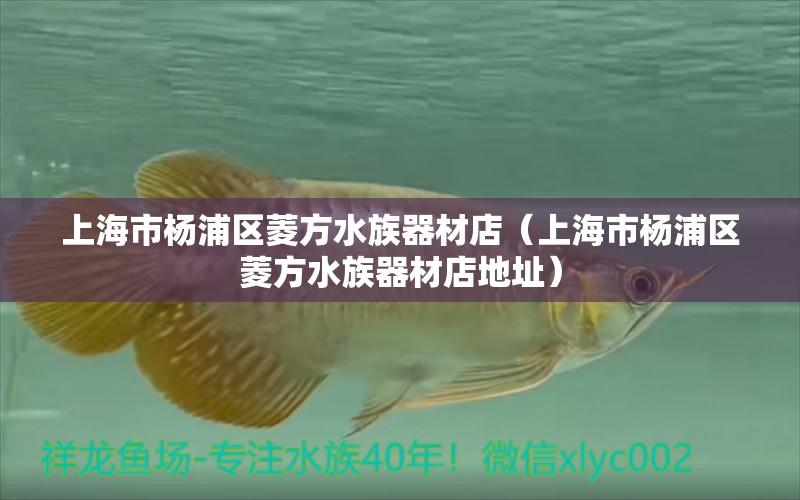 上海市楊浦區(qū)菱方水族器材店（上海市楊浦區(qū)菱方水族器材店地址）