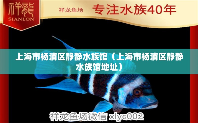 上海市楊浦區(qū)靜靜水族館（上海市楊浦區(qū)靜靜水族館地址） 全國(guó)水族館企業(yè)名錄