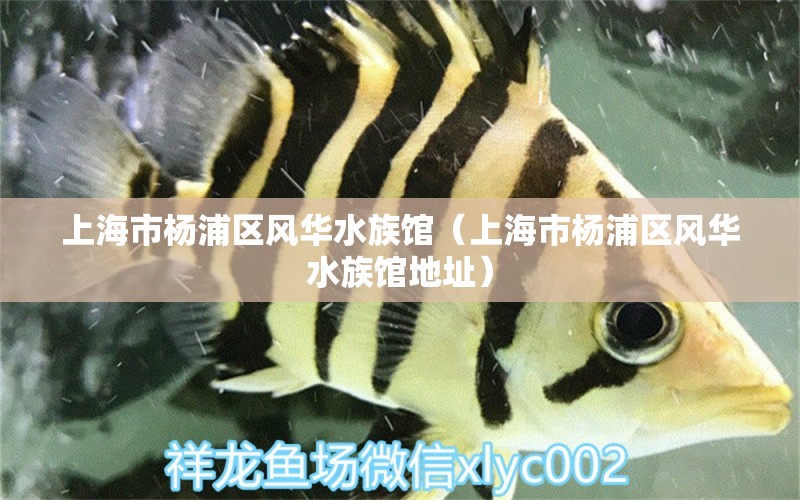 上海市楊浦區(qū)風(fēng)華水族館（上海市楊浦區(qū)風(fēng)華水族館地址） 全國水族館企業(yè)名錄