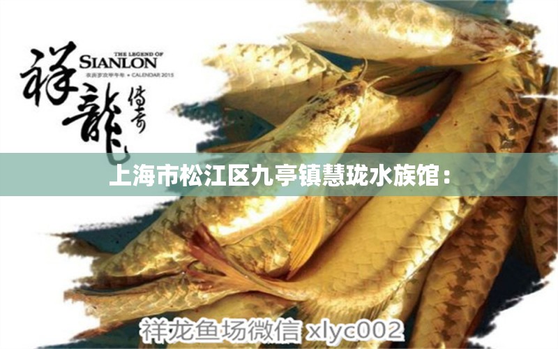 上海市松江區(qū)九亭鎮(zhèn)慧瓏水族館：