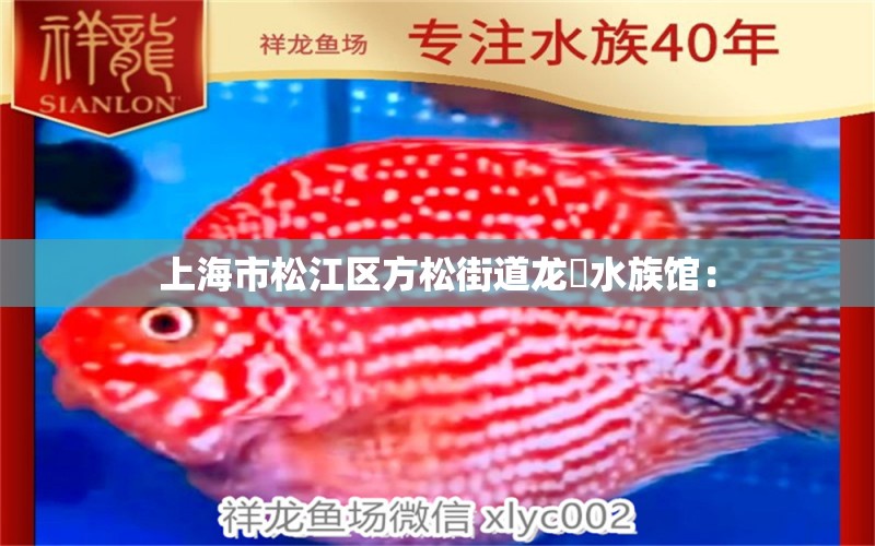 上海市松江區(qū)方松街道龍軒水族館： 全國(guó)水族館企業(yè)名錄