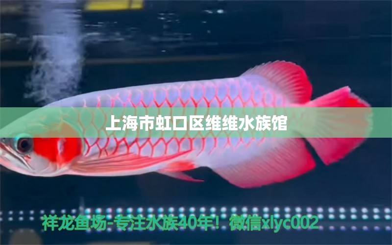 上海市虹口區(qū)維維水族館