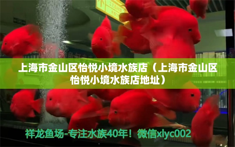 上海市金山區(qū)怡悅小境水族店（上海市金山區(qū)怡悅小境水族店地址）