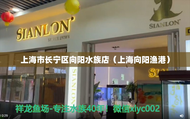 上海市長寧區(qū)向陽水族店（上海向陽漁港）