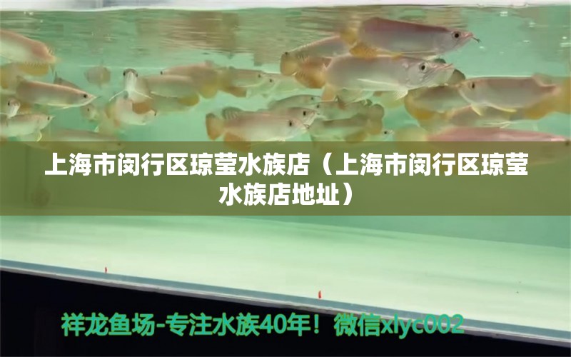 上海市閔行區(qū)瓊瑩水族店（上海市閔行區(qū)瓊瑩水族店地址） 全國水族館企業(yè)名錄