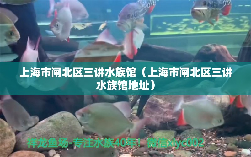 上海市閘北區(qū)三講水族館（上海市閘北區(qū)三講水族館地址） 全國(guó)水族館企業(yè)名錄