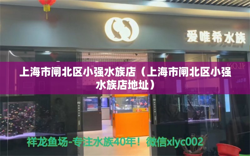 上海市閘北區(qū)小強(qiáng)水族店（上海市閘北區(qū)小強(qiáng)水族店地址）