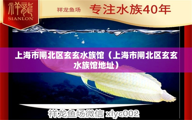 上海市閘北區(qū)玄玄水族館（上海市閘北區(qū)玄玄水族館地址）