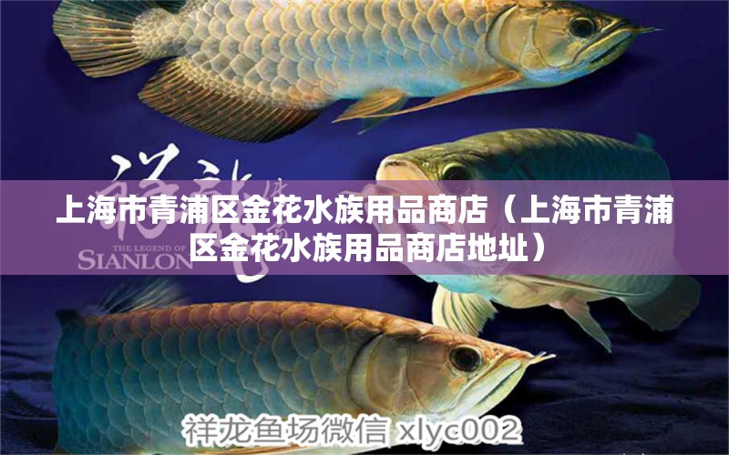 上海市青浦區(qū)金花水族用品商店（上海市青浦區(qū)金花水族用品商店地址） 水族用品