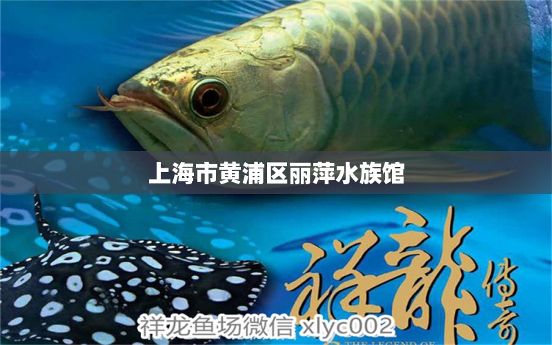 上海市黃浦區(qū)麗萍水族館