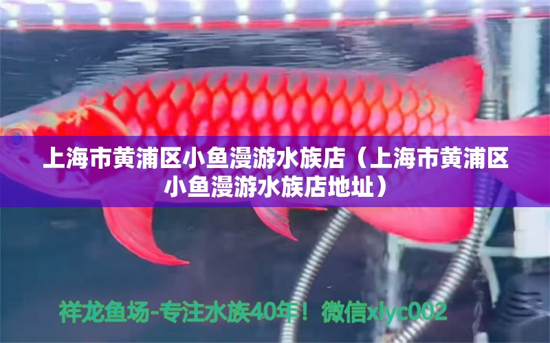 上海市黃浦區(qū)小魚漫游水族店（上海市黃浦區(qū)小魚漫游水族店地址）