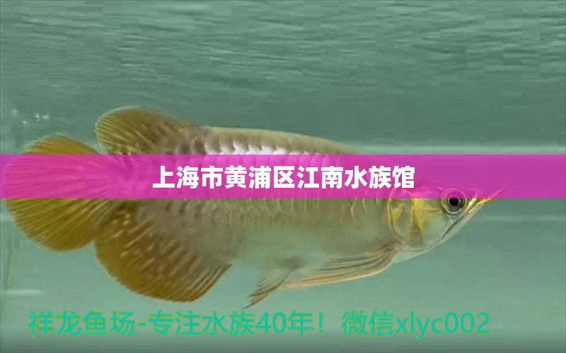 上海市黃浦區(qū)江南水族館 全國水族館企業(yè)名錄