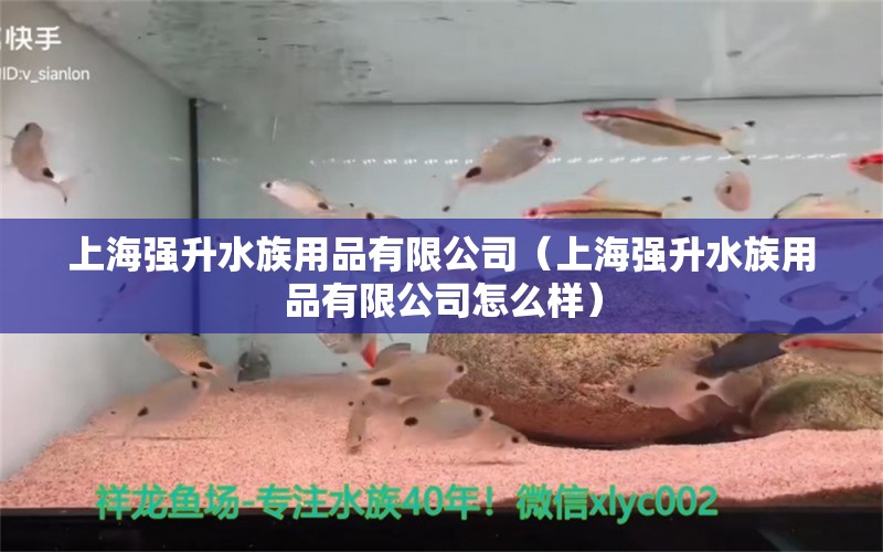 上海強(qiáng)升水族用品有限公司（上海強(qiáng)升水族用品有限公司怎么樣） 水族用品