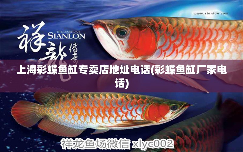 上海彩蝶魚缸專賣店地址電話(彩蝶魚缸廠家電話) 魚缸/水族箱