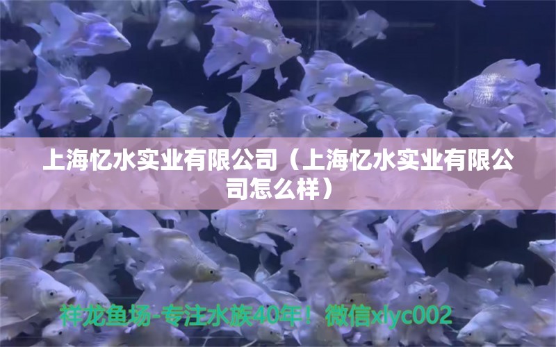 上海憶水實(shí)業(yè)有限公司（上海憶水實(shí)業(yè)有限公司怎么樣） 全國(guó)水族館企業(yè)名錄