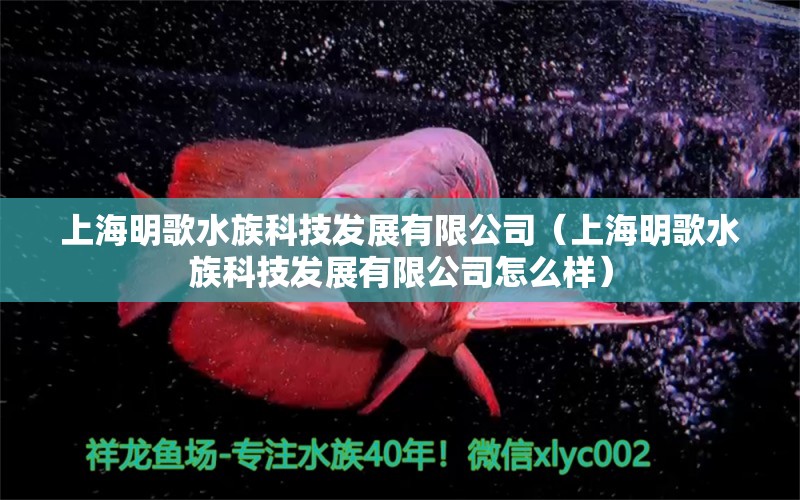 上海明歌水族科技發(fā)展有限公司（上海明歌水族科技發(fā)展有限公司怎么樣） 全國水族館企業(yè)名錄