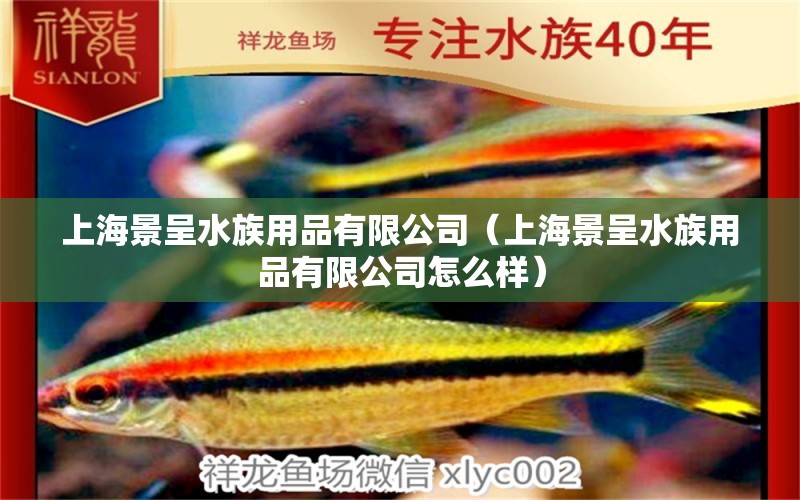 上海景呈水族用品有限公司（上海景呈水族用品有限公司怎么樣） 水族用品