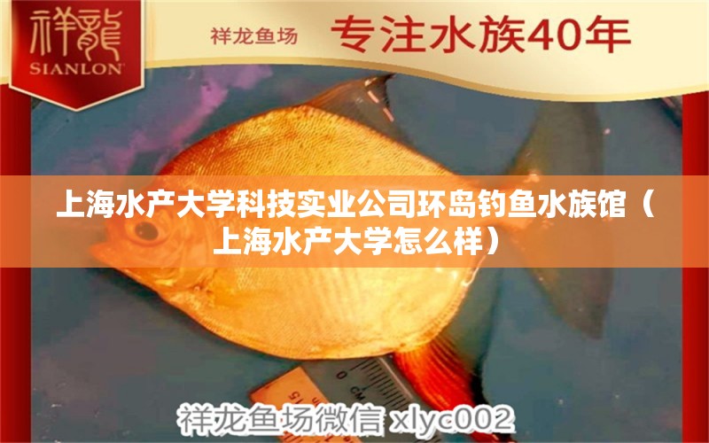 上海水產(chǎn)大學科技實業(yè)公司環(huán)島釣魚水族館（上海水產(chǎn)大學怎么樣）