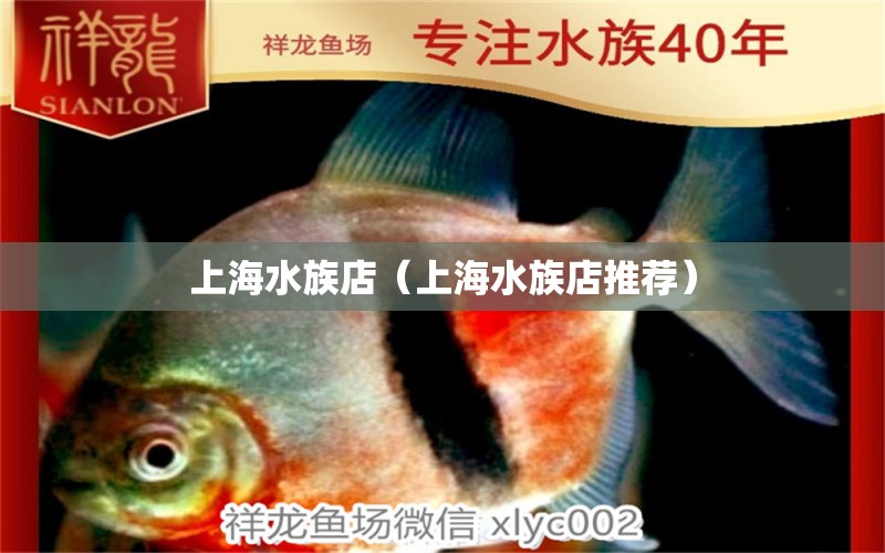 上海水族店（上海水族店推薦） 觀賞魚市場