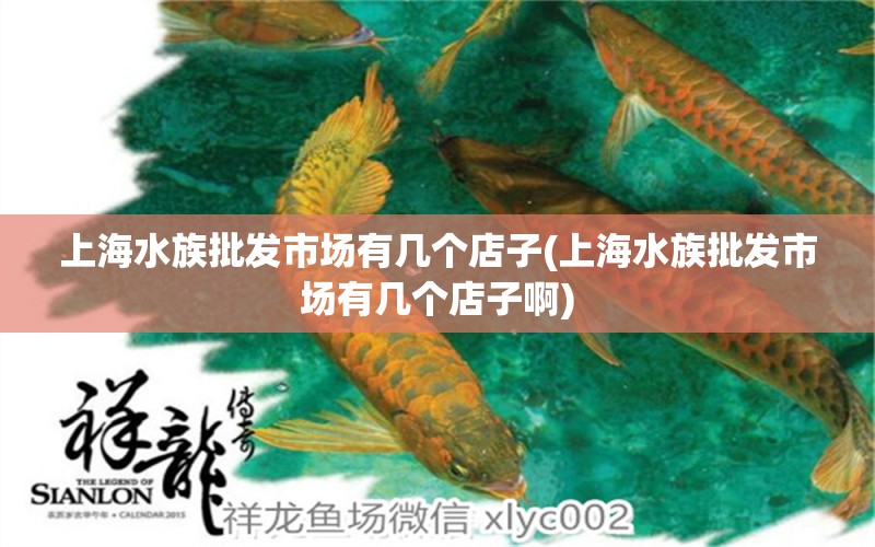 上海水族批發(fā)市場有幾個店子(上海水族批發(fā)市場有幾個店子啊) 觀賞魚水族批發(fā)市場