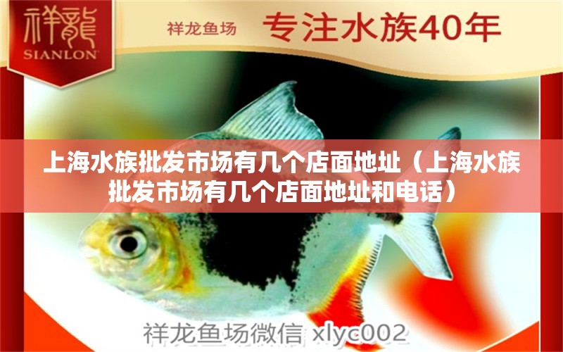 上海水族批發(fā)市場有幾個店面地址（上海水族批發(fā)市場有幾個店面地址和電話）