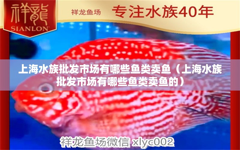 上海水族批發(fā)市場(chǎng)有哪些魚(yú)類(lèi)賣(mài)魚(yú)（上海水族批發(fā)市場(chǎng)有哪些魚(yú)類(lèi)賣(mài)魚(yú)的）