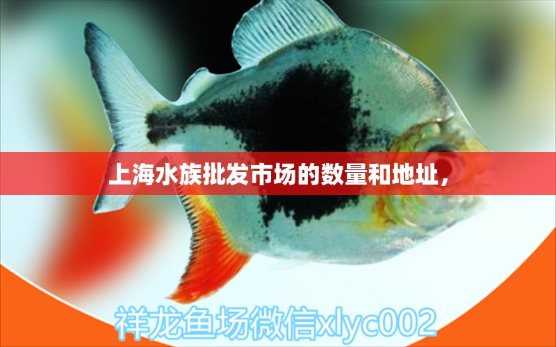 上海水族批發(fā)市場的數(shù)量和地址，