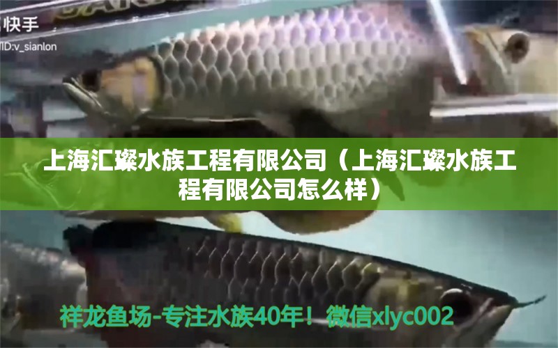 上海匯璨水族工程有限公司（上海匯璨水族工程有限公司怎么樣）