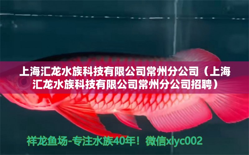 上海匯龍水族科技有限公司常州分公司（上海匯龍水族科技有限公司常州分公司招聘）