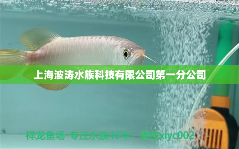 上海波濤水族科技有限公司第一分公司