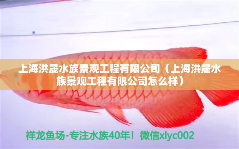 上海洪晟水族景觀工程有限公司（上海洪晟水族景觀工程有限公司怎么樣）