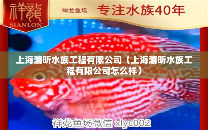 上海浦昕水族工程有限公司（上海浦昕水族工程有限公司怎么樣） 全國水族館企業(yè)名錄