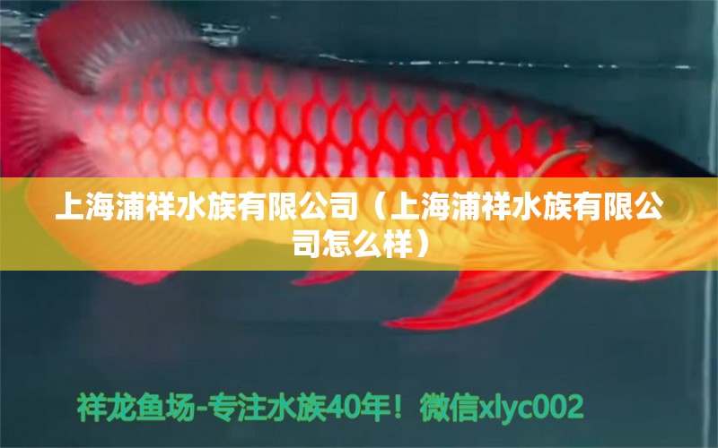 上海浦祥水族有限公司（上海浦祥水族有限公司怎么樣）