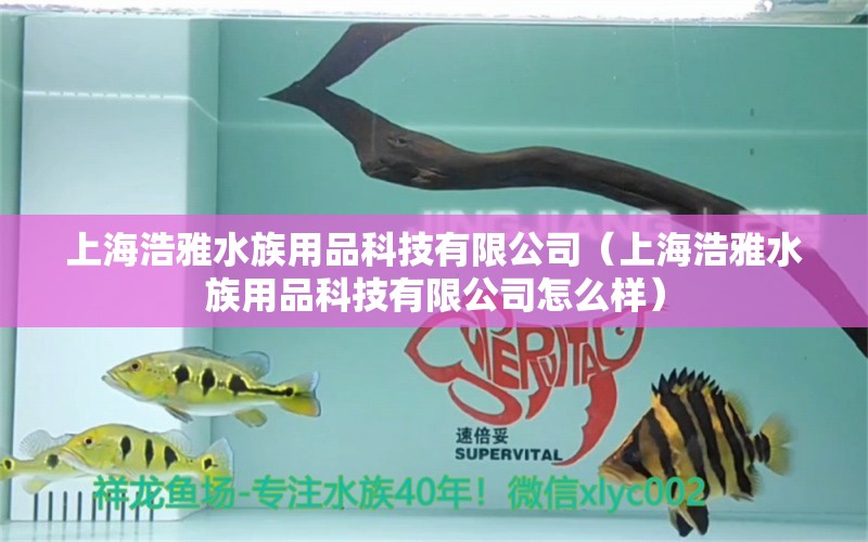 上海浩雅水族用品科技有限公司（上海浩雅水族用品科技有限公司怎么樣） 水族用品