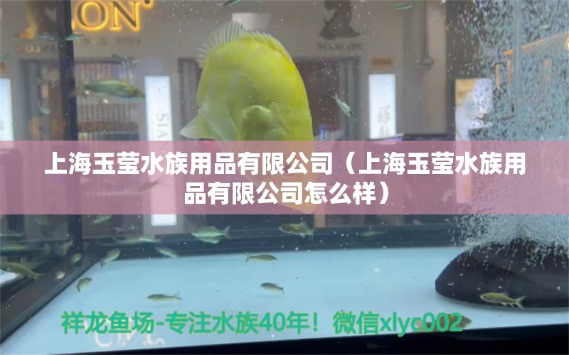 上海玉瑩水族用品有限公司（上海玉瑩水族用品有限公司怎么樣） 水族用品