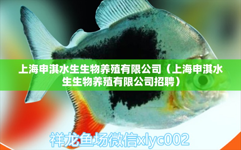 上海申淇水生生物養(yǎng)殖有限公司（上海申淇水生生物養(yǎng)殖有限公司招聘） 全國水族館企業(yè)名錄