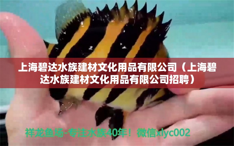 上海碧達(dá)水族建材文化用品有限公司（上海碧達(dá)水族建材文化用品有限公司招聘）