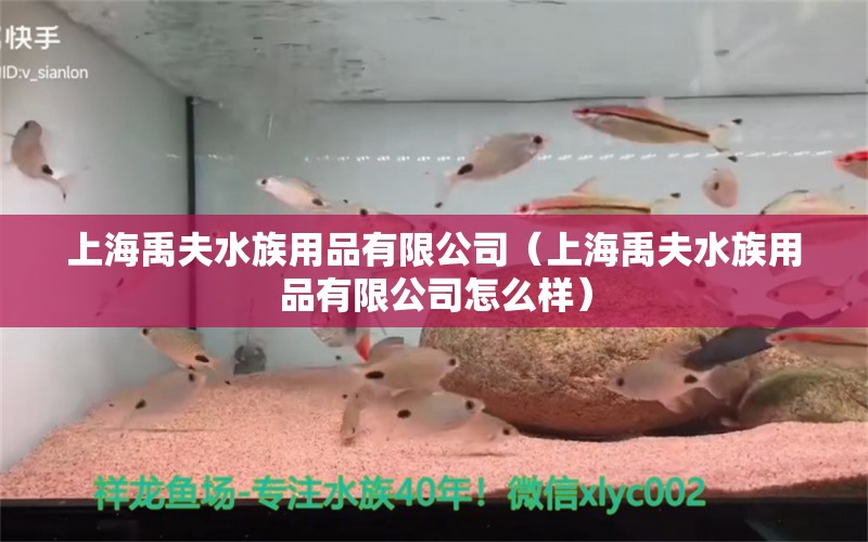 上海禹夫水族用品有限公司（上海禹夫水族用品有限公司怎么樣）