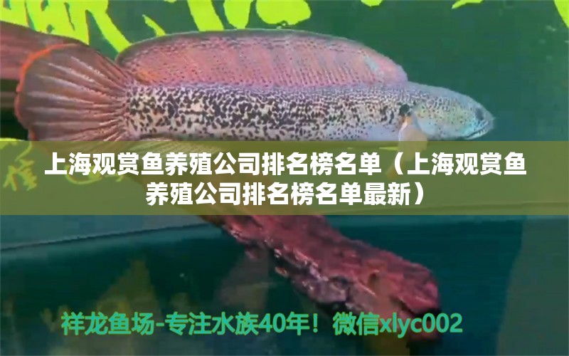 上海觀賞魚養(yǎng)殖公司排名榜名單（上海觀賞魚養(yǎng)殖公司排名榜名單最新） 觀賞魚市場（混養(yǎng)魚）