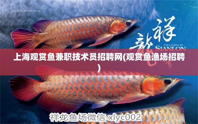 上海觀賞魚兼職技術(shù)員招聘網(wǎng)(觀賞魚漁場招聘) 馬拉莫寶石魚苗