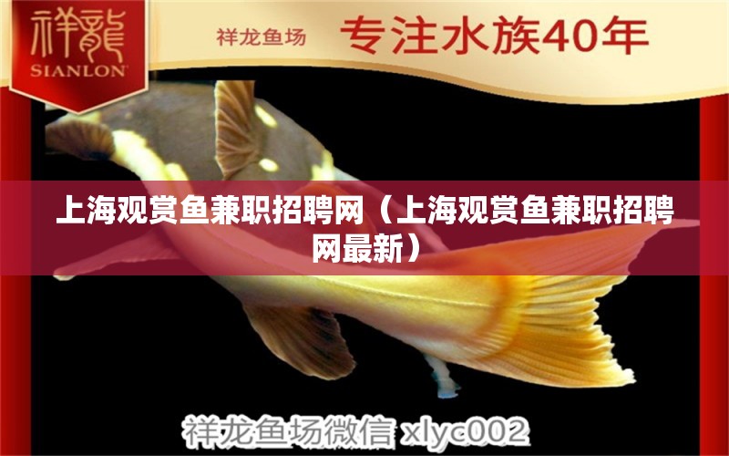 上海觀賞魚兼職招聘網(wǎng)（上海觀賞魚兼職招聘網(wǎng)最新）