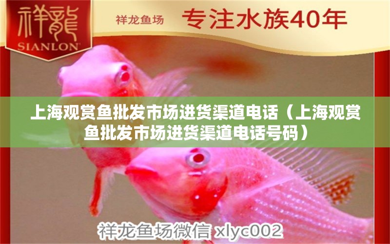 上海觀賞魚批發(fā)市場進貨渠道電話（上海觀賞魚批發(fā)市場進貨渠道電話號碼）