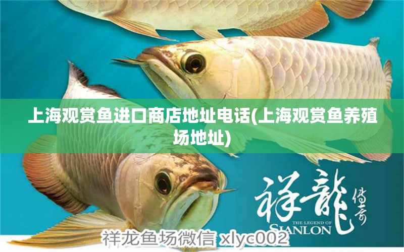 上海觀賞魚進口商店地址電話(上海觀賞魚養(yǎng)殖場地址) 觀賞魚進出口