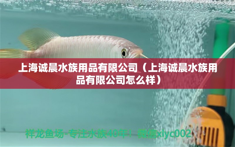 上海誠晨水族用品有限公司（上海誠晨水族用品有限公司怎么樣） 水族用品